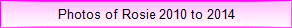 Photos of Rosie 2010 to 2014