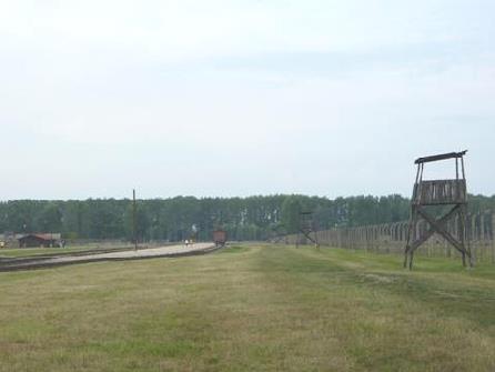 2012-08-03_1035__5805R  Auschwitz - Birkenau fence, Poland.JPG