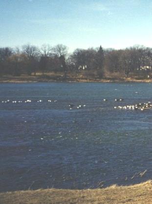 2002-01-26 1 By the Kankakee River, Wilmington, Illinois1