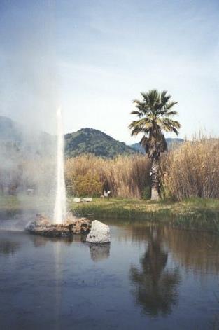 2002-03-20 3 'Old Faithful Geyser', Calistoga, Nappa Valley, California