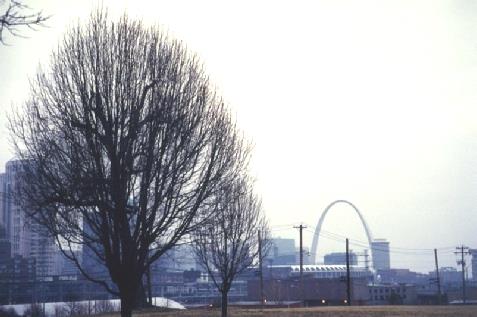 2002-01-29 5 Looking to Gateway Arch, St Louis, Missouri