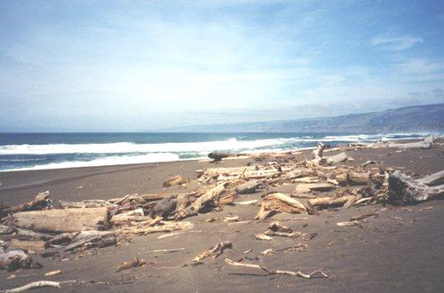 2002-03-21 4 Mancheater Beach, California