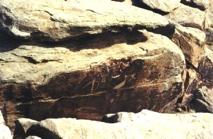 2002-02-14 9 Petroglyphs - Puerco Pueblo, Petrified Forest National Park, Arizona