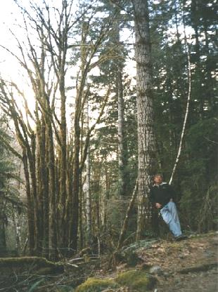 2002-03-31 2 Adrian in the Olympic Mountains near Lena Lake, Washington State
