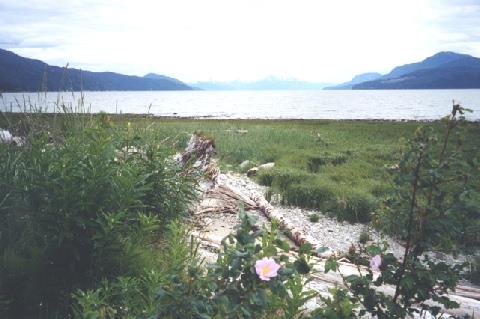 2002-06-19 4 Douglas Channel, Kittimaat, British Columbia