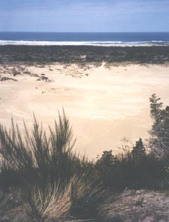 2002-03-27 1 Oregon Dunes