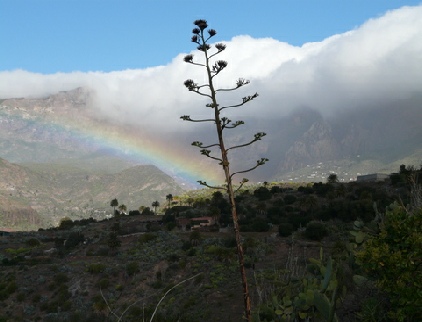 2013-01-23_1044__9325A View to Santa Lucia from near Igenio, Gran Canaria