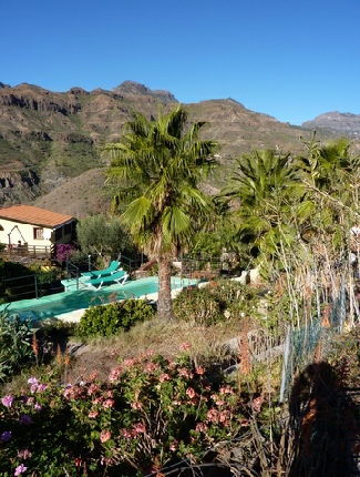 2013-01-27_1024__6675R Around the garden at Finca los Marteles, Gran Canaria