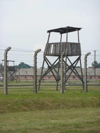 2012-08-03_1031__5802R Auschwitz - Birkenau fence, Poland.JPG